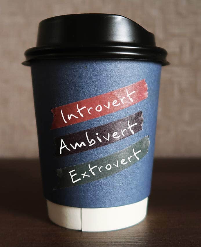 introvert_extrovert_afbeelding