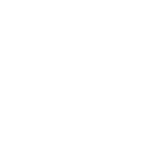 vzvz